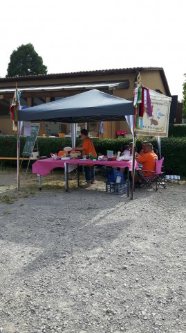 Sommer 2016 (13)